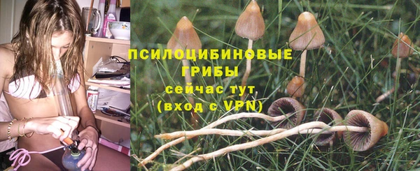 ешки Алексин